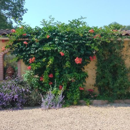 Albi A Proximite, Maison D'Hotes Les Oliviers Rosieres  Exteriör bild