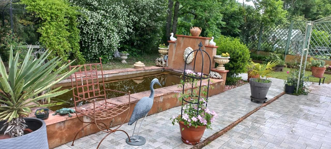Albi A Proximite, Maison D'Hotes Les Oliviers Rosieres  Exteriör bild